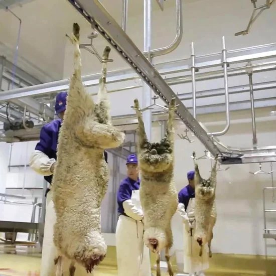 Attrezzatura per la lavorazione della carcassa di pecora Binario di trasporto automatico per la linea di macello di capra