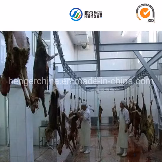 Attrezzatura per la lavorazione della carcassa di pecora Binario di trasporto automatico per la linea di macello di capra